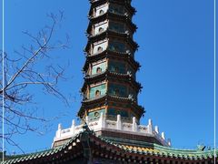 -香山公园