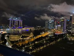 -新加坡瑞士史丹福酒店