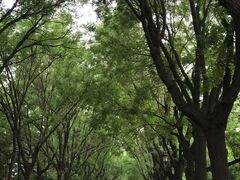 -青州市云门山风景区