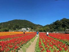 -广州市石门国家森林公园