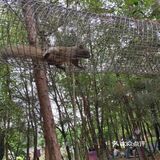 成都最萌态的儿童乐园[亲亲]