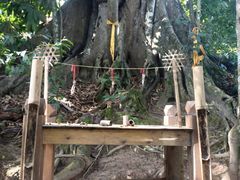 -西双版纳基诺山寨