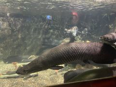 -太平洋海底世界