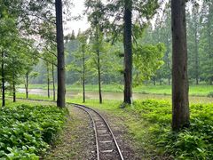 -黄海国家森林公园