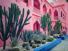 -漳州滨海火山岛自然生态风景区