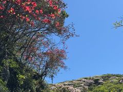 -大围山国家森林公园