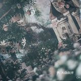 OneWedding丨属于你的花园婚礼