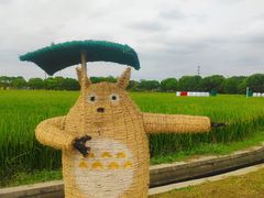 -嘉北郊野公园