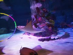 -沈阳海洋探索中心