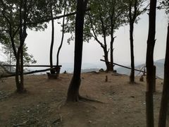 -黄埔油麻山森林公园