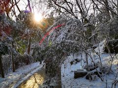 -紫金山山顶公园