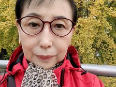 -三里屯东五街银杏大道