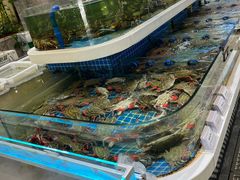 -大众海鲜(巨龙北路店)