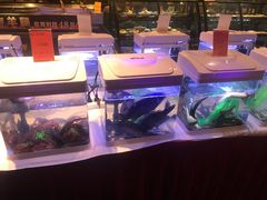 -花家怡园(四合院总店)