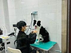 -瑞鹏宠物医院·爱宠堂·骨外专科(西荷分院)