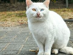 景点-上海海湾国家森林公园