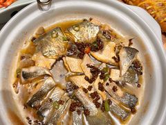 -迦南苑·新派青岛菜·生日纪念日主题餐厅