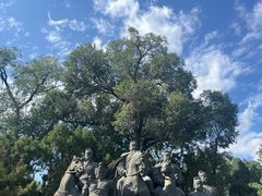 -山西体育中心红灯笼体育场