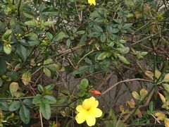 -骏莱海鲜鱼港(五角场店)