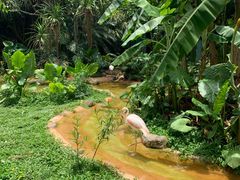 -海南热带野生动植物园