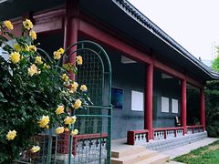 -丰台科技园生态主题公园