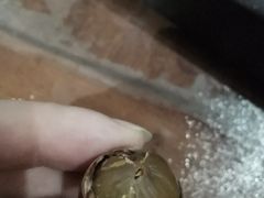 -南亚广场