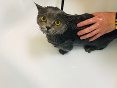 -喵汪宠物生活馆(涞坊路店)