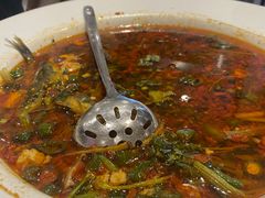 -院8里·少城记忆老川菜(宽窄巷子店)