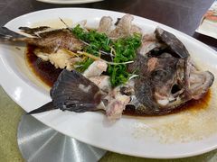 红斑鱼-岛中岛·海鲜大排档·万宁老字号(东澳店)