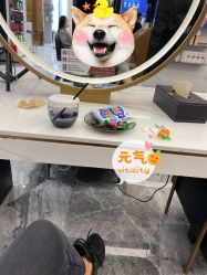 -17.壹柒·美学高定空间