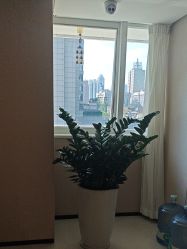-广东韩妃整形外科医院