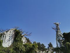 -云南野生动物园