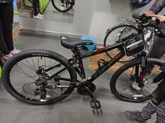 -道路口单车爱瓦士dahon大行