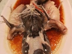 清蒸鮰鱼-亢龙太子酒轩(东湖店)