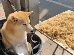 -沙湾姜埋奶(兴新包店)