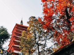 -宝光寺