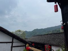 -后柳水乡