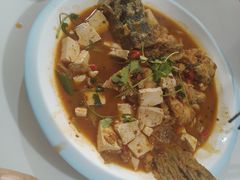 -煲来饱去冷水鱼
