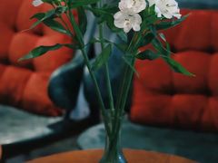 -如禾素食·下午茶·糖水