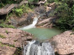 -广州白江湖森林公园