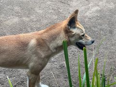 -费瑟代尔野生动物园