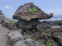 -涉地可支