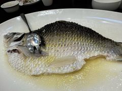 -飞尝蚝·顺德菜·鱼生(顺德总店)
