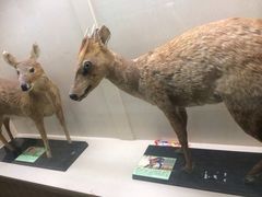 iphone_upload_pic-下渚湖国家湿地公园科普馆