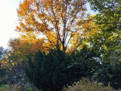 -国家植物园南园