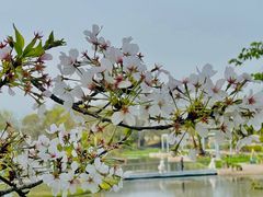 -上海辰山植物园