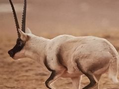 -中国湿地博物馆