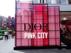 -Dior迪奥(上海世茂广场店)