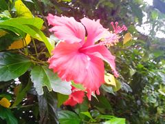 -白沙门生态公园