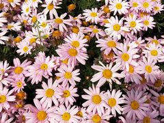 -汉丽轩韩式自助烤肉(大学城龙湖U城天街A馆店)